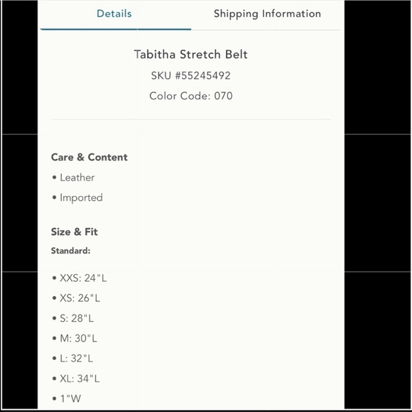 Anthropologie Tabitha stretch belt - Picture 4 of 14